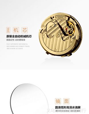 瑞士品牌男士简约皮带机械表 经典与实用的完美结合